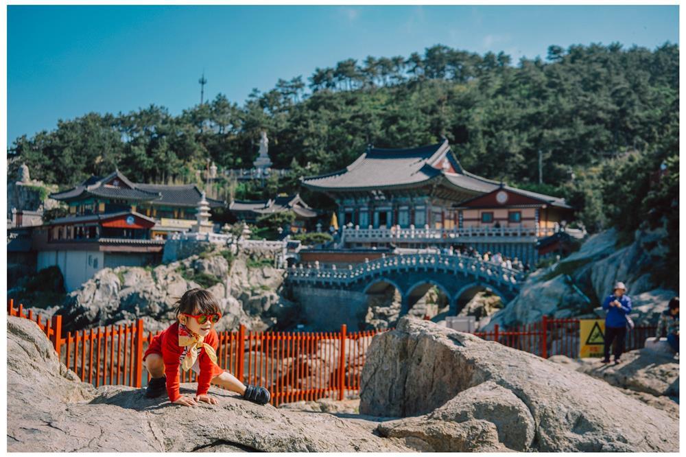 Khách Việt chi hết tiền tiết kiệm một tỷ đồng đưa cả nhà du lịch thế giới-2