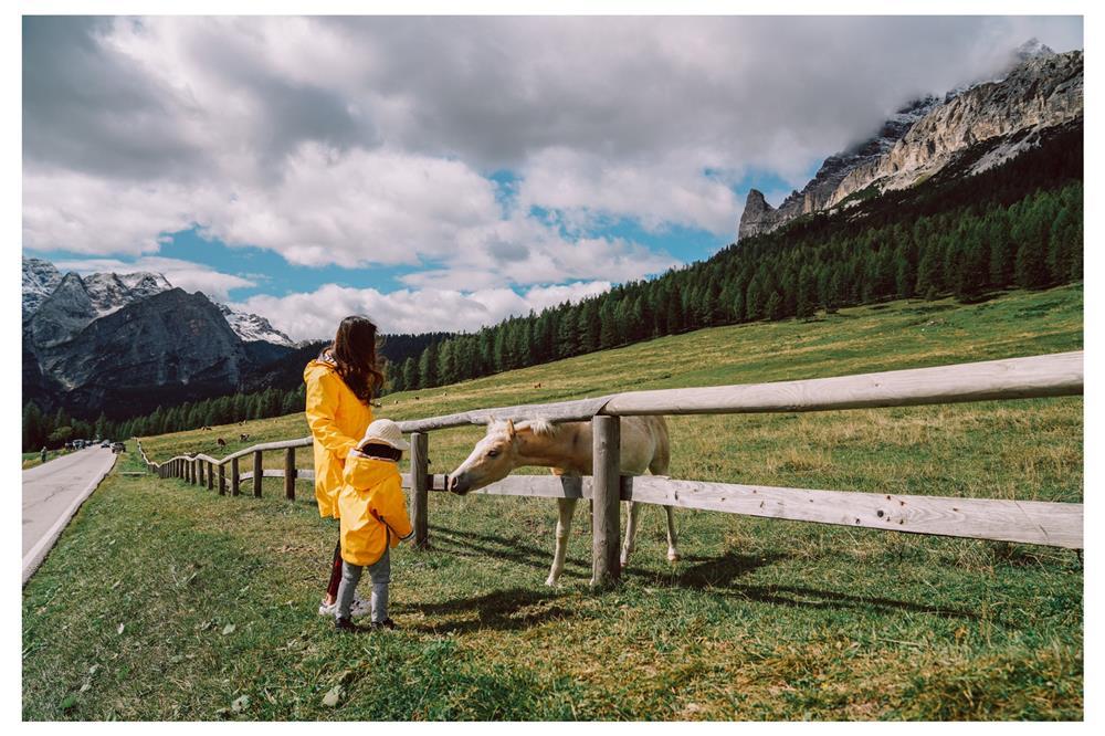 Khách Việt chi hết tiền tiết kiệm một tỷ đồng đưa cả nhà du lịch thế giới-3