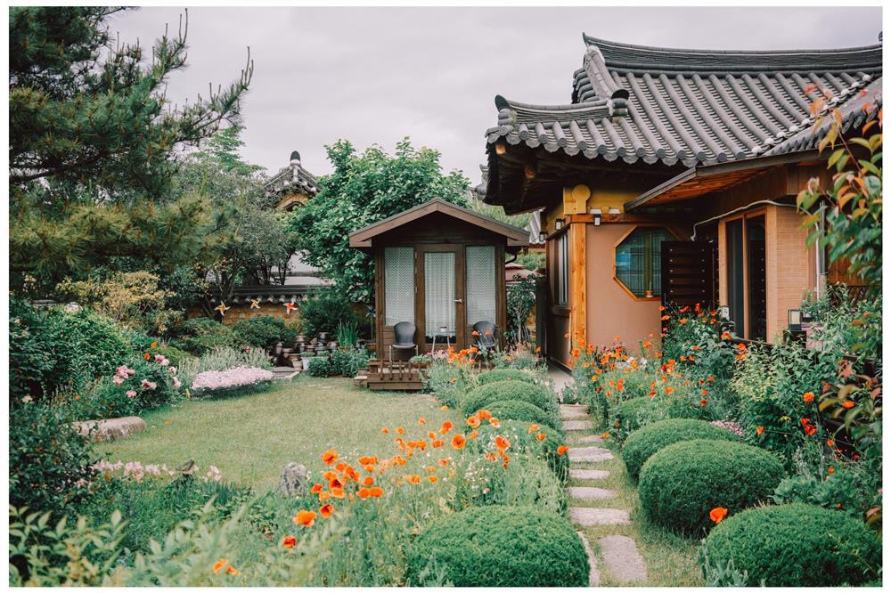 Khách Việt chi hết tiền tiết kiệm một tỷ đồng đưa cả nhà du lịch thế giới-4