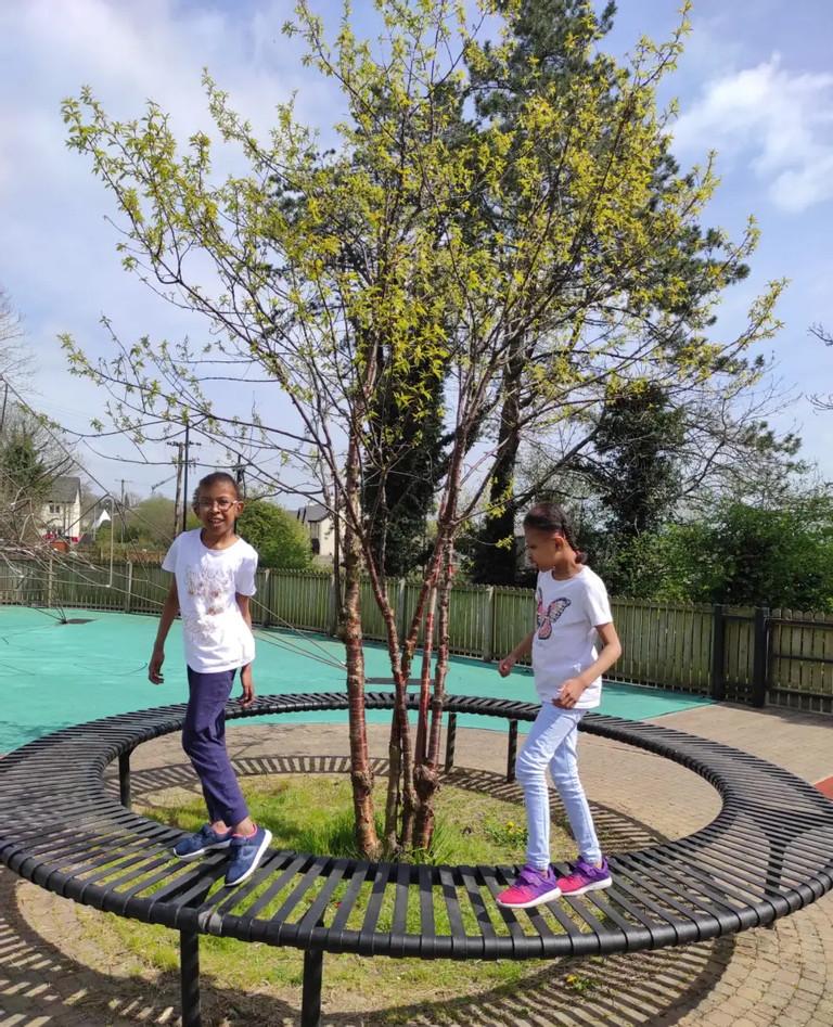 Cuộc sống tuổi 13 của hai cô bé từng dính đầu-4