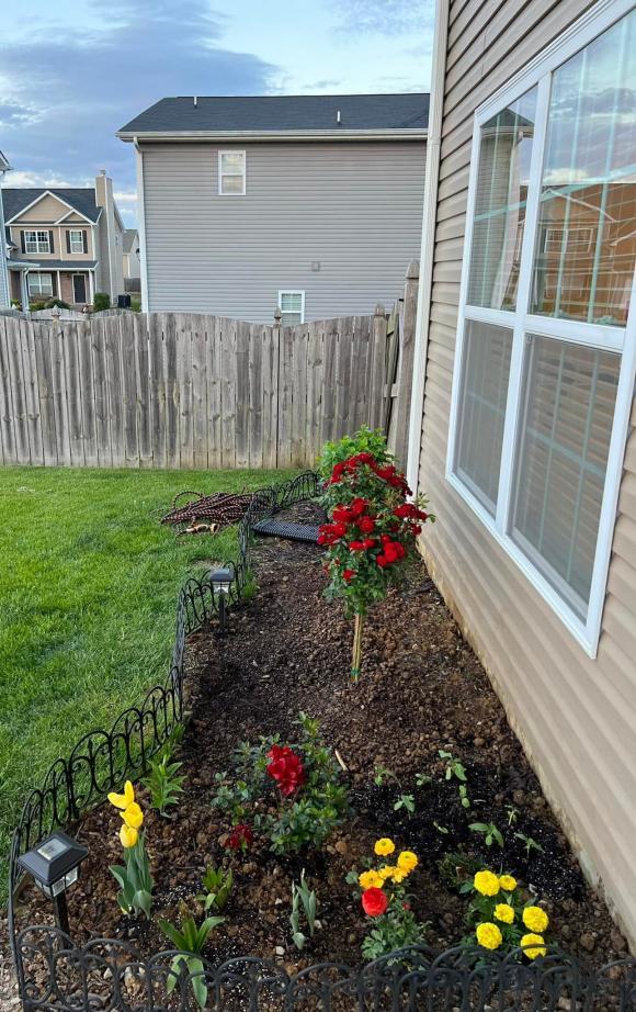 Vướng tin đồn sống trong khu ổ chuột khi theo chồng sang Mỹ, Trang Trần livestream tiết lộ toàn bộ cơ ngơi-7