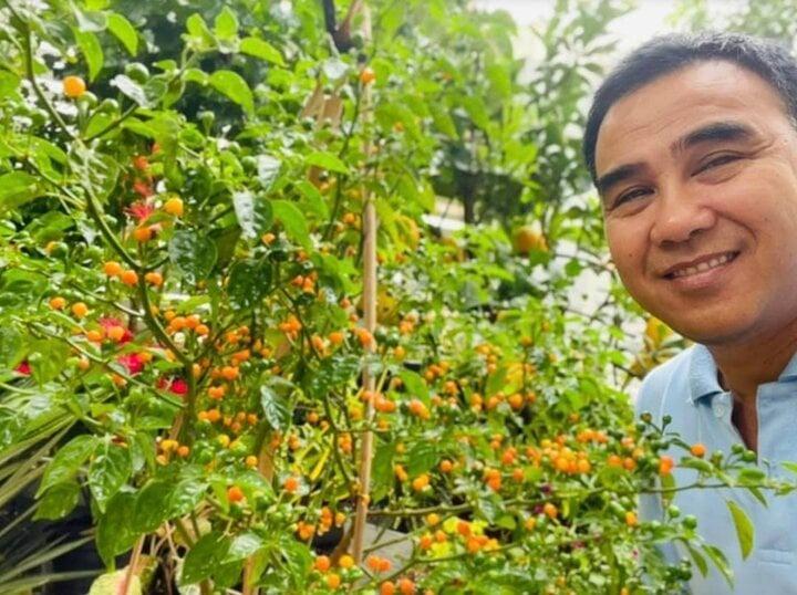 Vườn hoa rực rỡ như cổ tích trong biệt thự rộng 500m2 của MC Quyền Linh-10