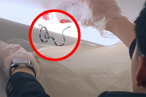 Ác mộng của hành khách bị nhốt trong toilet máy bay suốt hành trình 2 tiếng-3