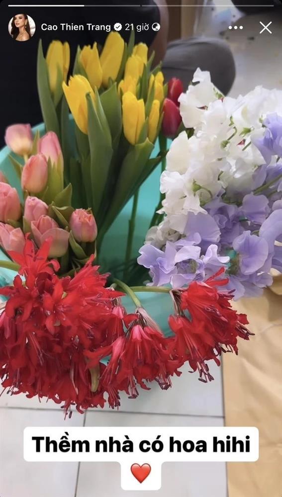 Cao Thiên Trang bất ngờ làm lễ ăn hỏi sau nửa tháng thi Miss Cosmo Vietnam 2023-3