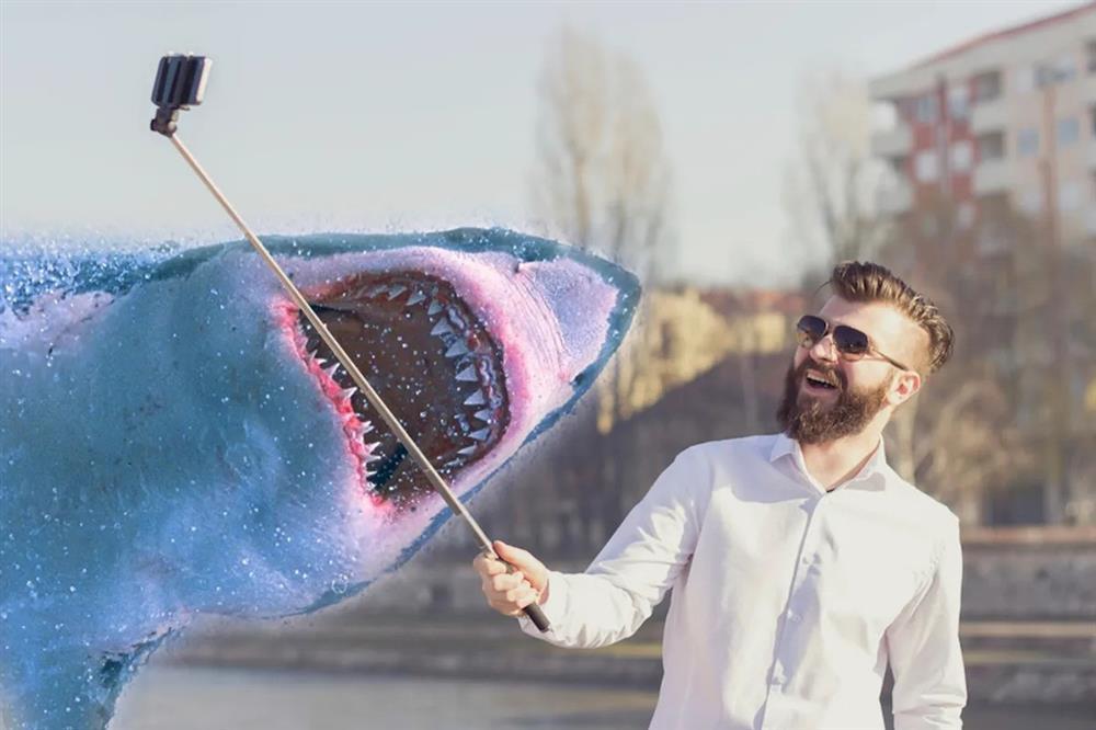 Vì sao chụp ảnh tự sướng còn nguy hiểm hơn cả cá mập tấn công?-4