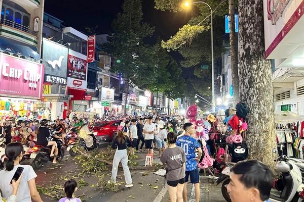 Người đàn ông nguy kịch vì nhánh cây ở TPHCM rơi trúng đầu-1