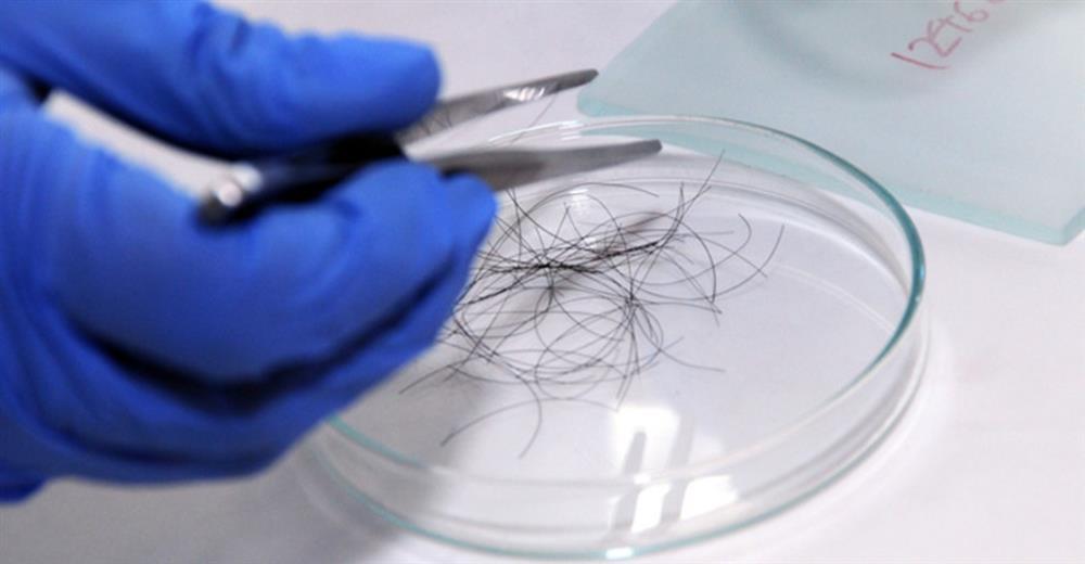 Đánh tráo mẫu xét nghiệm ADN vì cùng lúc qua lại với ba đối tượng, người phụ nữ phải hổ thẹn vì điều này-1