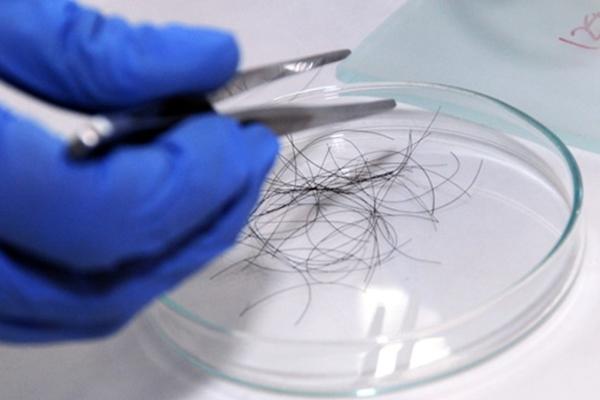 Đọc tin nhắn của vợ và giám đốc, chồng mang con đi xét nghiệm ADN-1