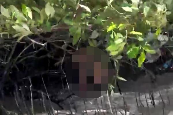 2 tàu cá ở Quảng Bình bị chìm trên biển, 3 người mất tích-2