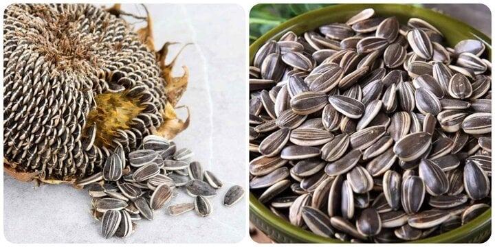 Ăn nhiều hạt hướng dương có tốt cho sức khoẻ?-1