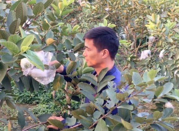 ‘Hiện tượng mạng’ Lệ Rơi sau 10 năm nổi tiếng, độc thân ở tuổi 37, lý do chưa lập gia đình là gì?-7