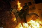 Độc đáo lễ hội cưỡi ngựa phi qua lửa ở Tây Ban Nha