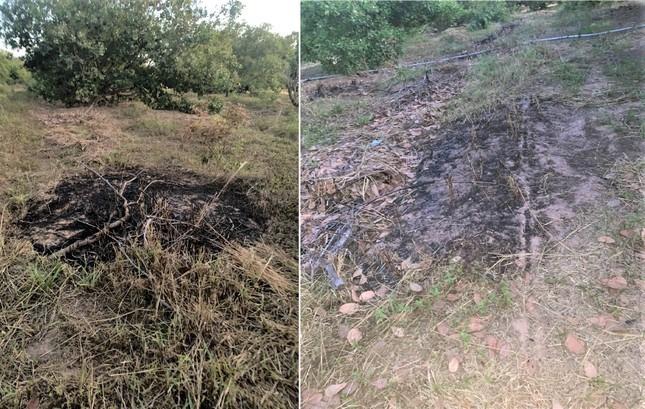 Nhân chứng kể vụ mặt đất bỗng nhiên bốc cháy liên tục ở Đắk Lắk-2