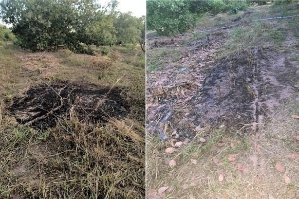 Cháy căn hộ, cư dân tháo chạy khỏi tòa nhà ở Huế trong đêm-4