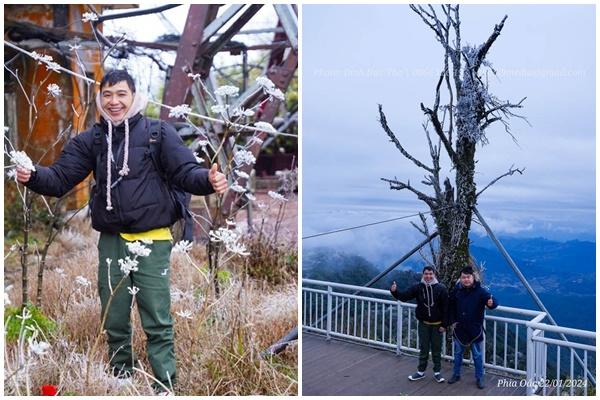 Phát hiện khu rừng lâu đời nhất thế giới ở sát nơi sầm uất không ngờ-3