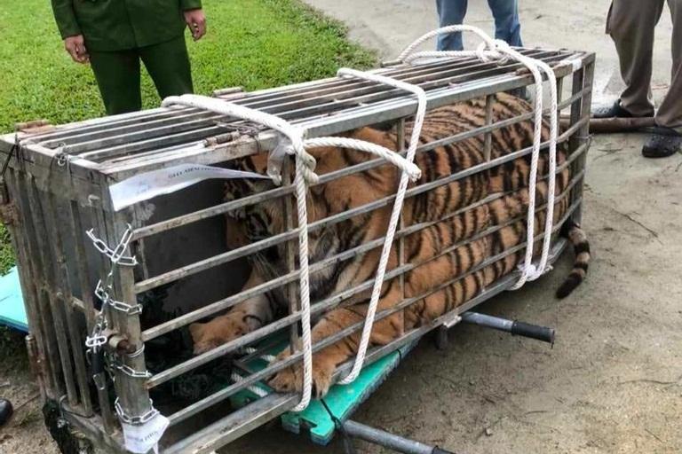 Bắt thanh niên giả danh công an, mua bán trái phép tài khoản ngân hàng-2