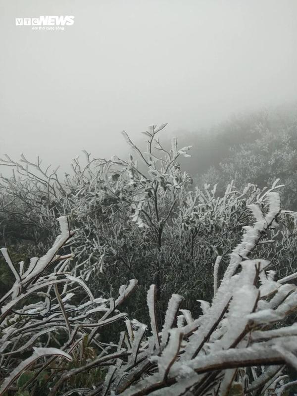 Nhiệt độ xuống -1,1 độ C, băng giá phủ kín đỉnh Mẫu Sơn-5