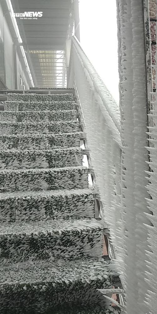 Nhiệt độ xuống -1,1 độ C, băng giá phủ kín đỉnh Mẫu Sơn-7