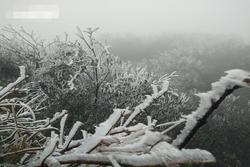 Nhiệt độ xuống -1,1 độ C, băng giá phủ kín đỉnh Mẫu Sơn