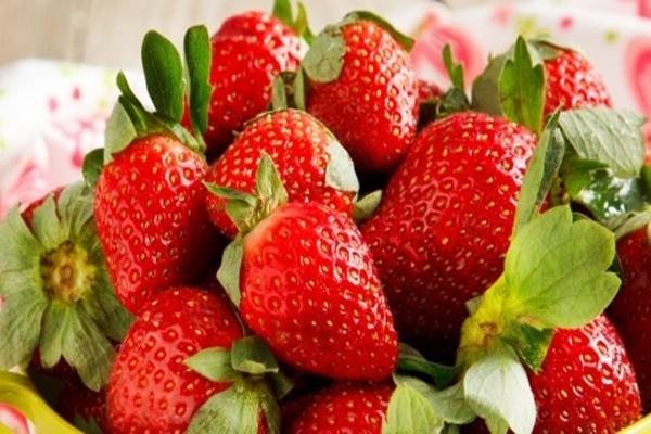 Dâu tây vào mùa, ngon khó cưỡng, lại mang đến nhiều lợi ích bất ngờ cho sức khỏe-2
