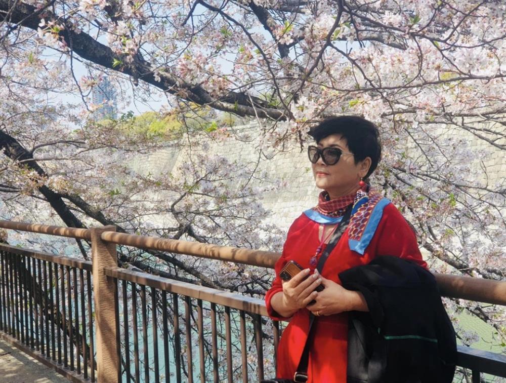 Dàn sao Người Hà Nội sau gần 3 thập kỷ: Người viên mãn, người rời cõi tạm-6