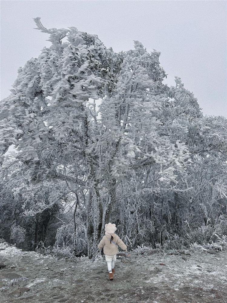 Đăng ảnh con gái ngắm băng giá trên đỉnh Mẫu Sơn, người mẹ bất ngờ bị dân mạng chỉ trích-2