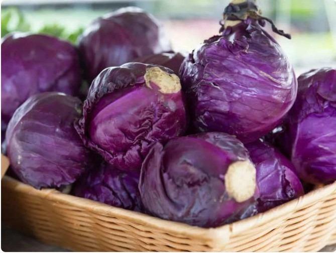 Bắp cải tím tốt hơn bắp cải xanh nhờ những lợi ích kinh ngạc sau đây-1