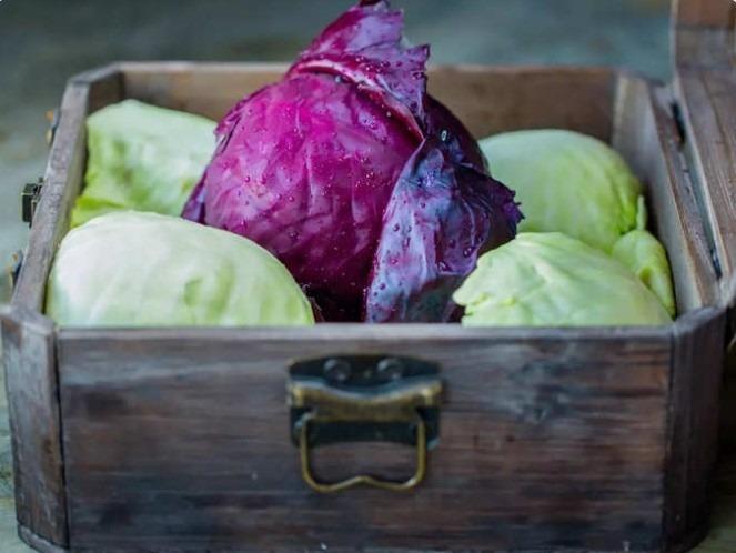 Bắp cải tím tốt hơn bắp cải xanh nhờ những lợi ích kinh ngạc sau đây-4