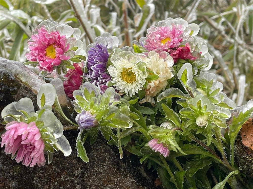 Khoảnh khắc thiên nhiên miền Bắc ngủ vùi trong băng đẹp xiêu lòng-1