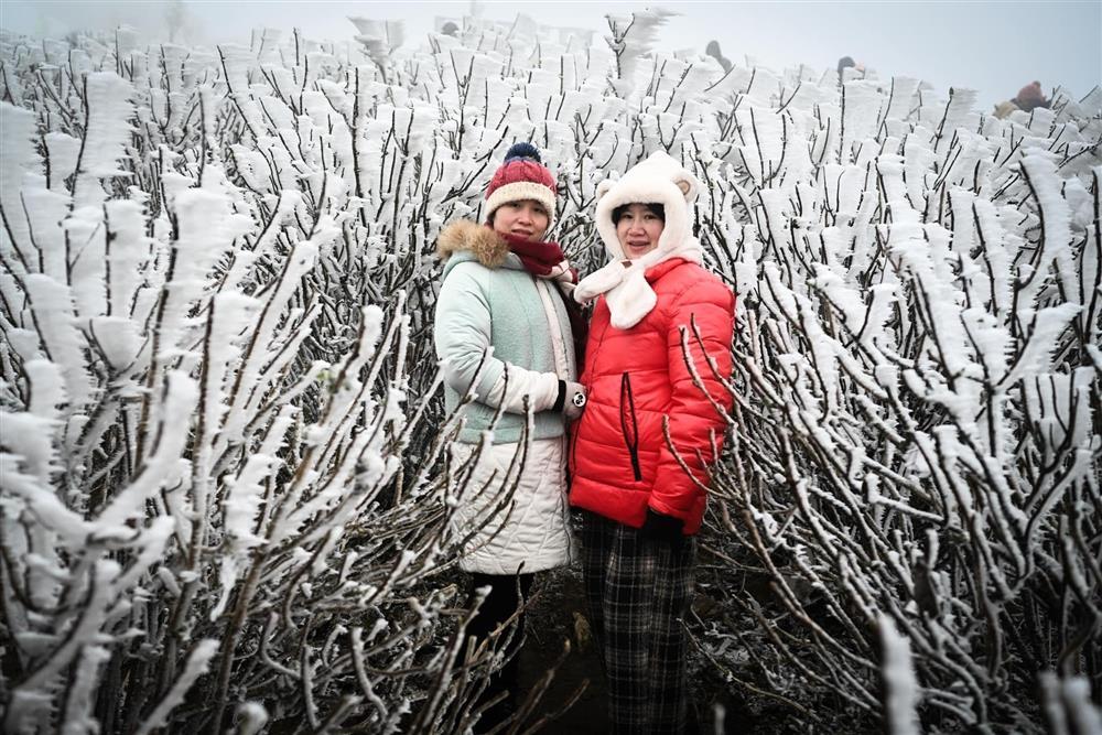 Khoảnh khắc thiên nhiên miền Bắc ngủ vùi trong băng đẹp xiêu lòng-3