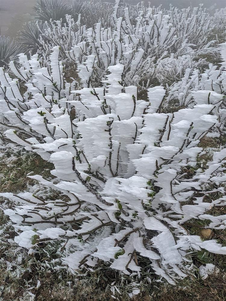 Khoảnh khắc thiên nhiên miền Bắc ngủ vùi trong băng đẹp xiêu lòng-12