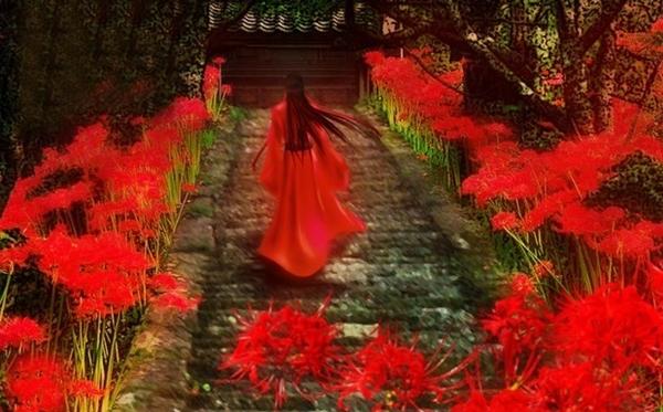 Hoa bỉ ngạn đang gây sốt có thật không?-3