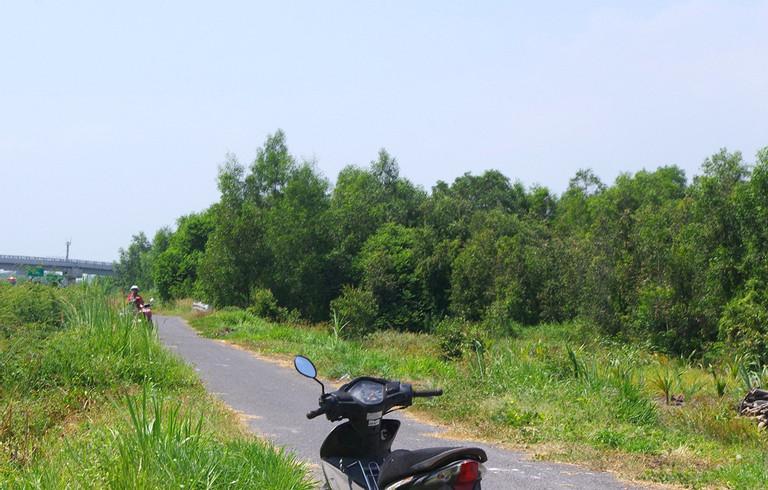 Điều tra vụ phát hiện bộ xương người ở Tiền Giang-1