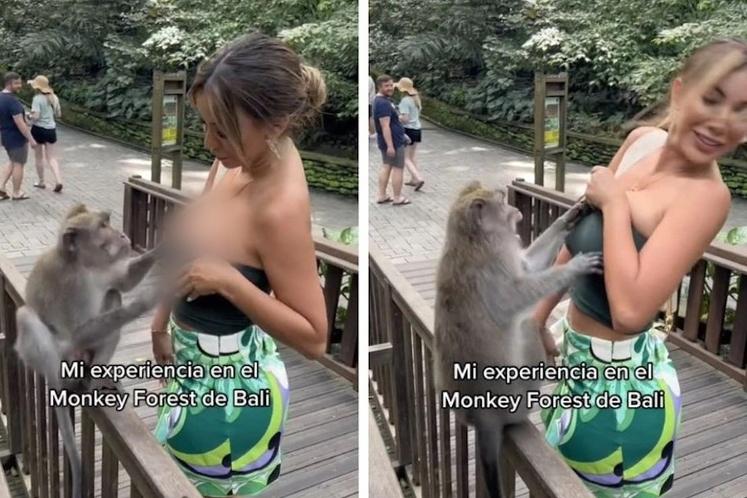 Hoa mận nở trắng Mộc Châu tạo khung cảnh mê đắm lòng người-8