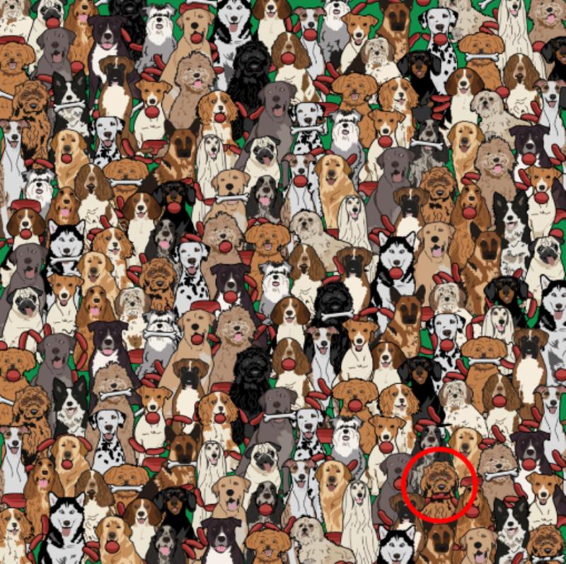 Thử thách tìm chú chó ngậm miếng xúc xích trong 15 giây: Nếu làm được chứng tỏ bạn có tố chất quan sát nhạy bén-2