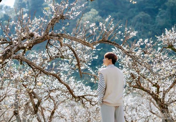 Hoa mận nở trắng Mộc Châu tạo khung cảnh mê đắm lòng người-4