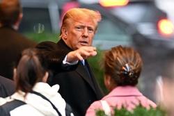 Ông Trump khiến các chuyên gia làm tóc bực mình