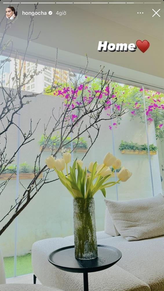 Biệt thự 30 tỷ của Hồ Ngọc Hà trang hoàng lộng lẫy đón Tết-5