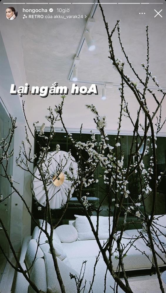 Biệt thự 30 tỷ của Hồ Ngọc Hà trang hoàng lộng lẫy đón Tết-6