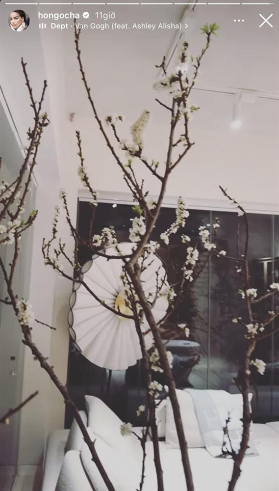 Biệt thự 30 tỷ của Hồ Ngọc Hà trang hoàng lộng lẫy đón Tết-7