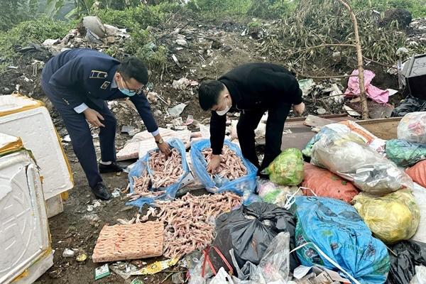 Phát hiện hai xe tải chở hơn 10 tấn thịt heo thối ở Bình Dương-2