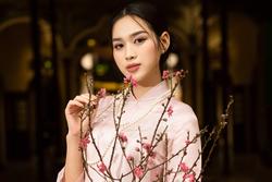 Hoa hậu Đỗ Hà xinh đẹp dạo phố trước thềm Xuân Giáp Thìn