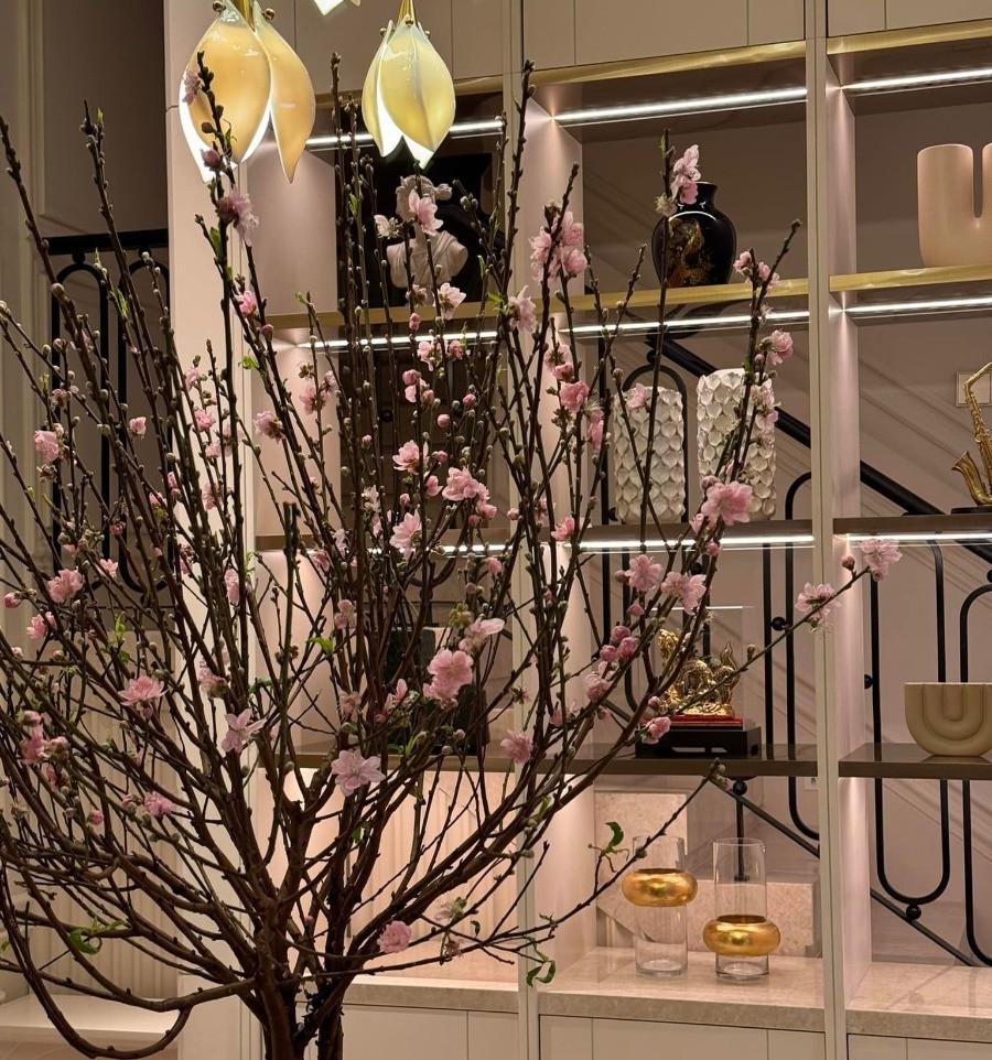 Không khí Tết ngập tràn trong biệt thự 20 tỷ của Noo Phước Thịnh-2