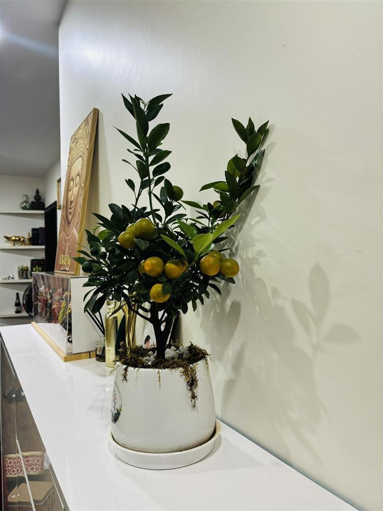 Vợ kém 15 tuổi trang hoàng nhà cửa cùng NSND Công Lý đón Tết-6