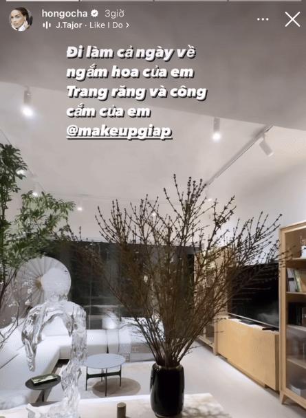 Hồ Ngọc Hà tinh tế khi chọn hoa chơi Tết Giáp Thìn trong biệt thự 30 tỷ-2