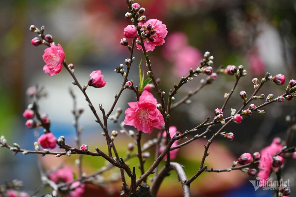 Không khí lạnh mạnh sắp tràn về, miền Bắc giảm gần 10 độ-1