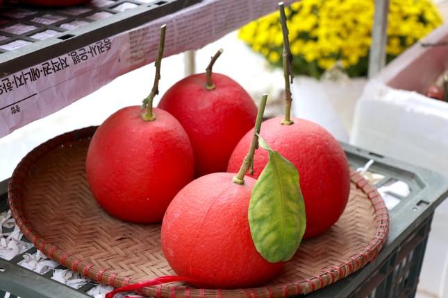 Bưởi tiến vua hạ giá vẫn ế khách-2