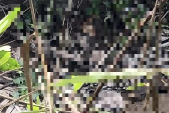 Phát hiện chân người trôi sông ở Vĩnh Long