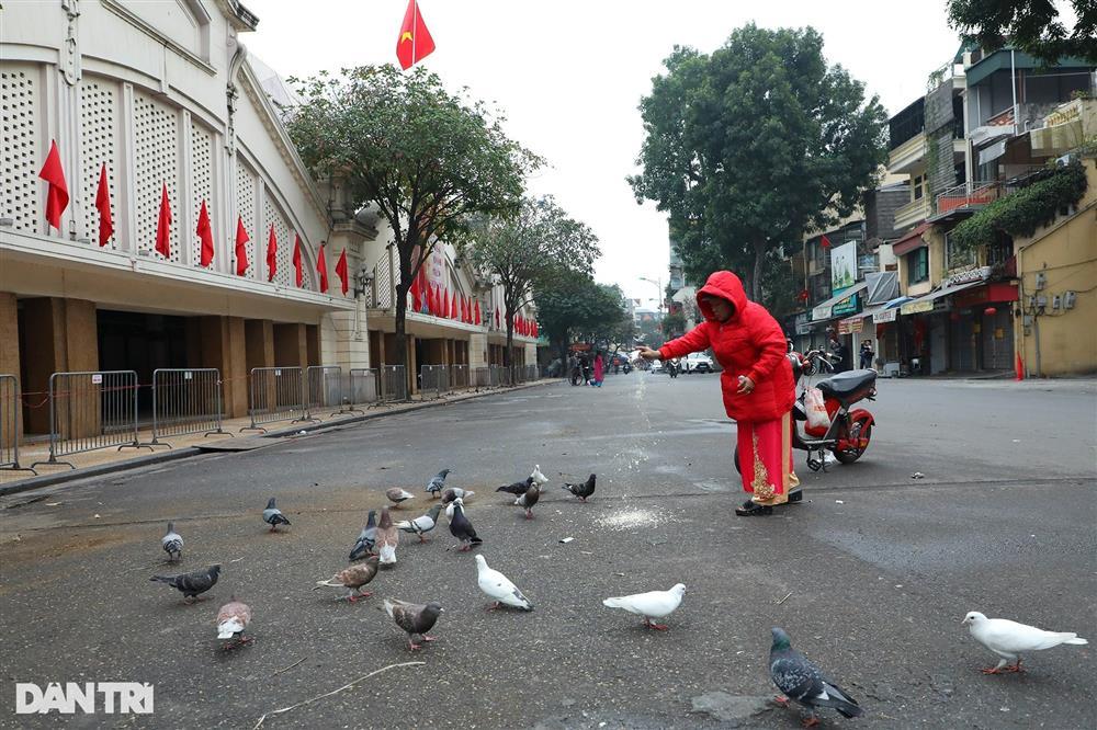 Không khí sáng mùng một: Hà Nội vắng vẻ, sâu lắng trong sắc hoa đào-10