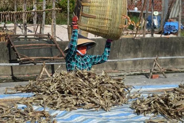 Loại đặc sản ở Cà Mau bán đắt như tôm tươi dịp Tết-5